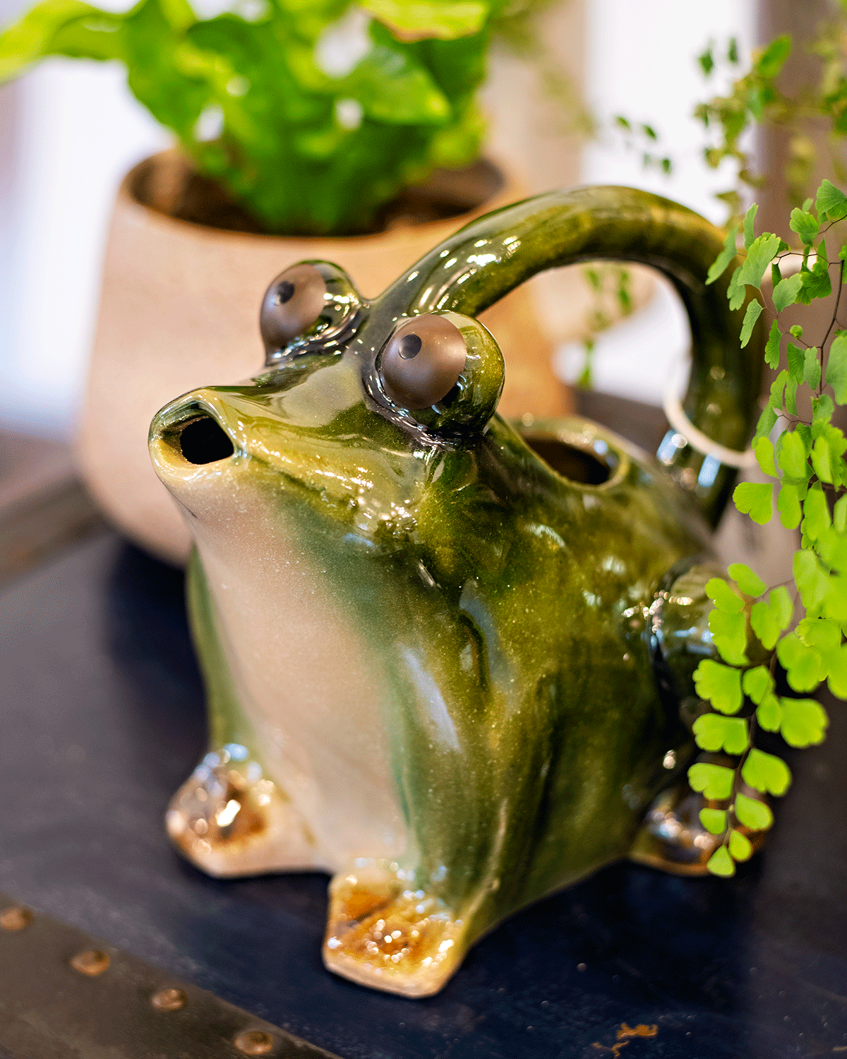 Stoneware Frog Watering Pitcher